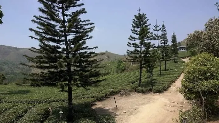 Homestay Pine Trees Home Holidays Vagamon
