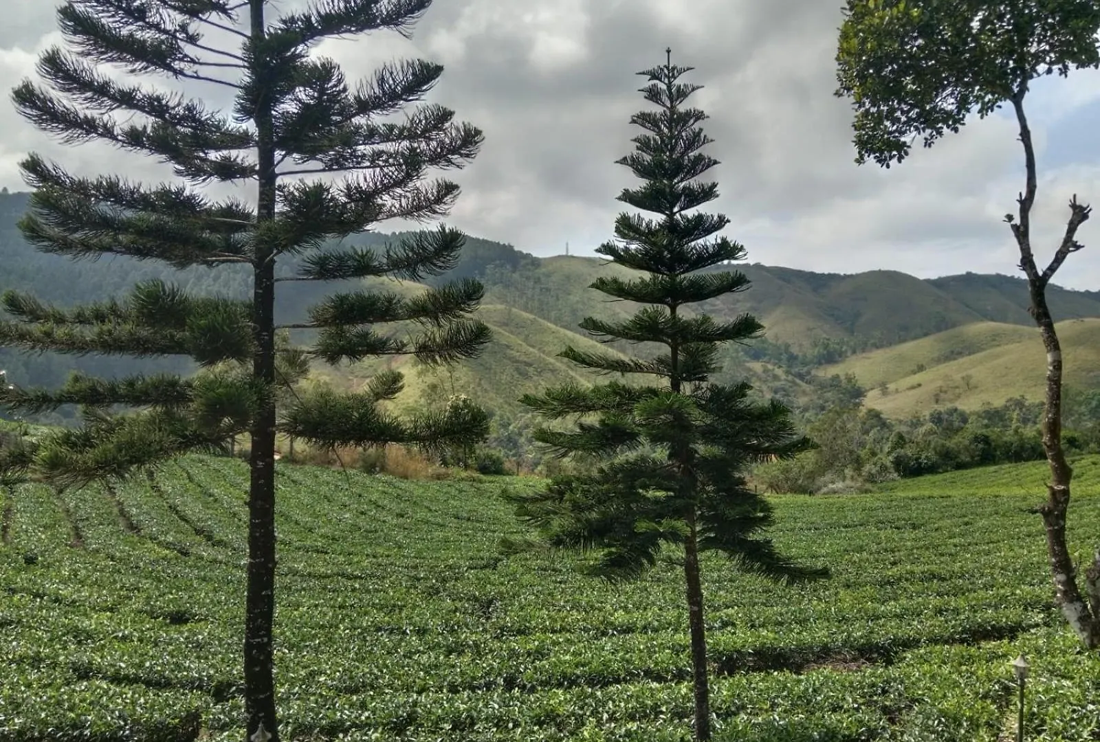 Pine Trees Home Holidays Vagamon 0*,  India